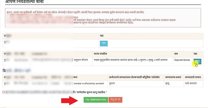 Pay Application Fees